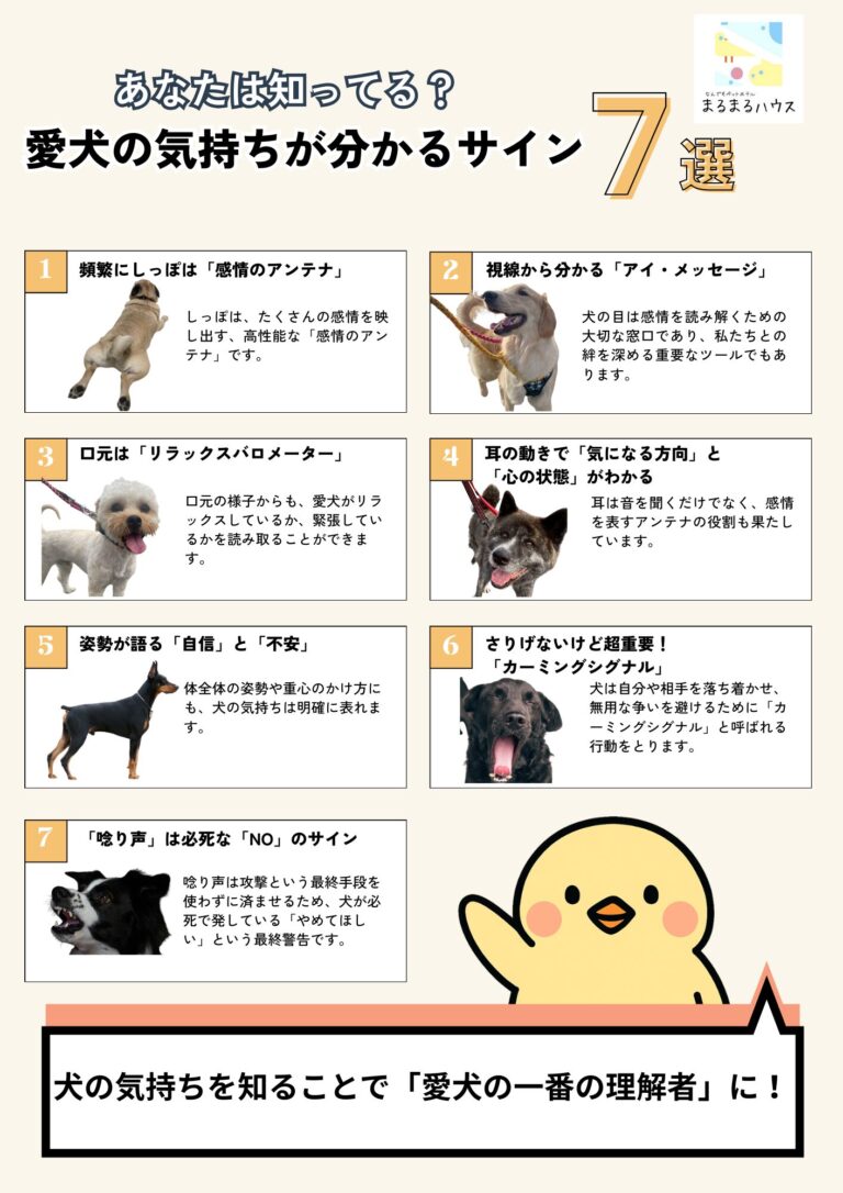 あなたは愛犬の気持ちが分かる人？しっぽや口元、耳から分かる7つのサイン
